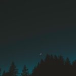 ［木材脱水連載2］『新月伐採』は迷信か、科学か？