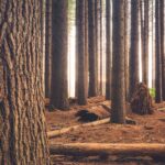 ［木材脱水連載1］脱水の基本知識